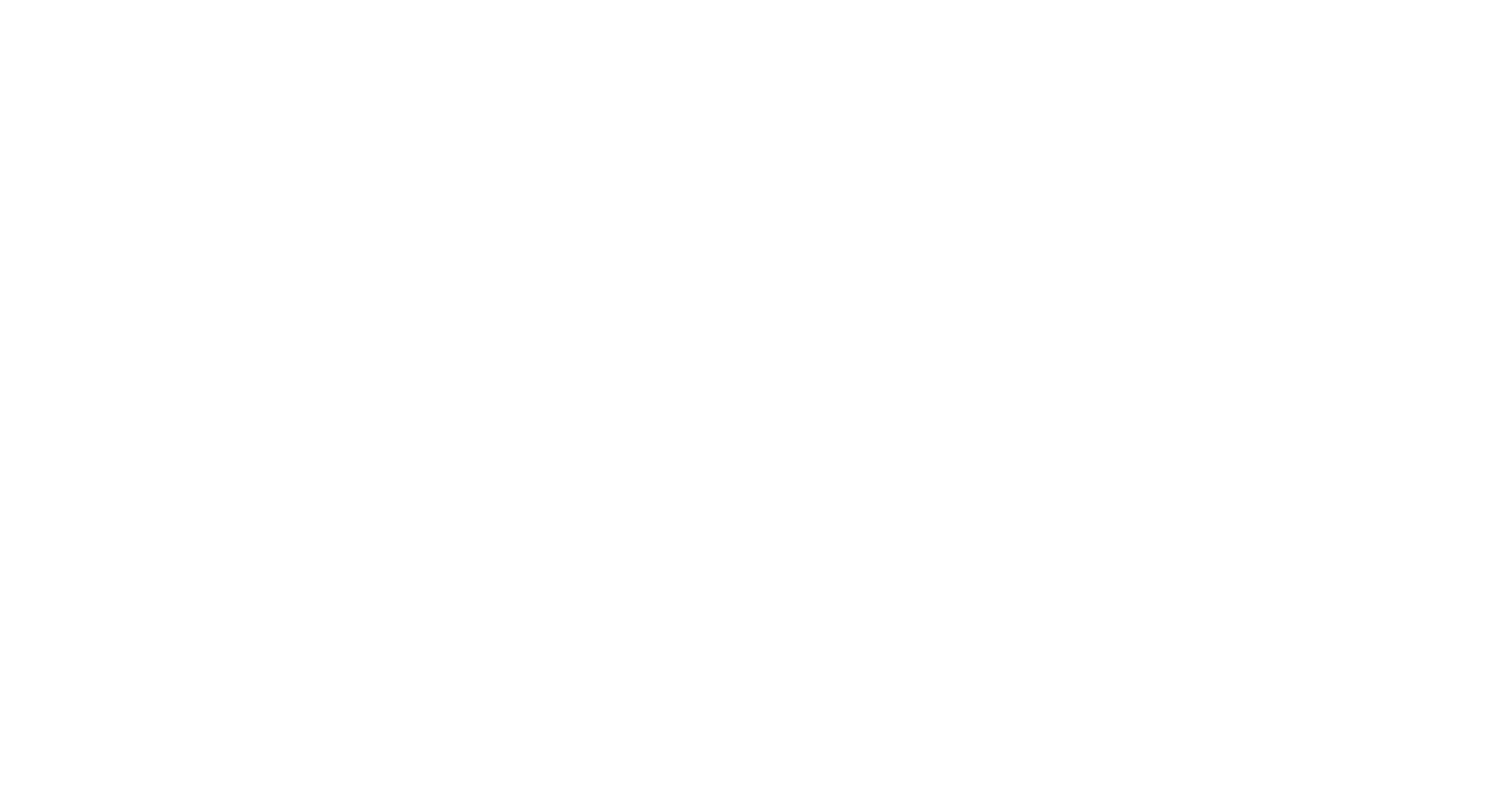 sprintgroep logo wit